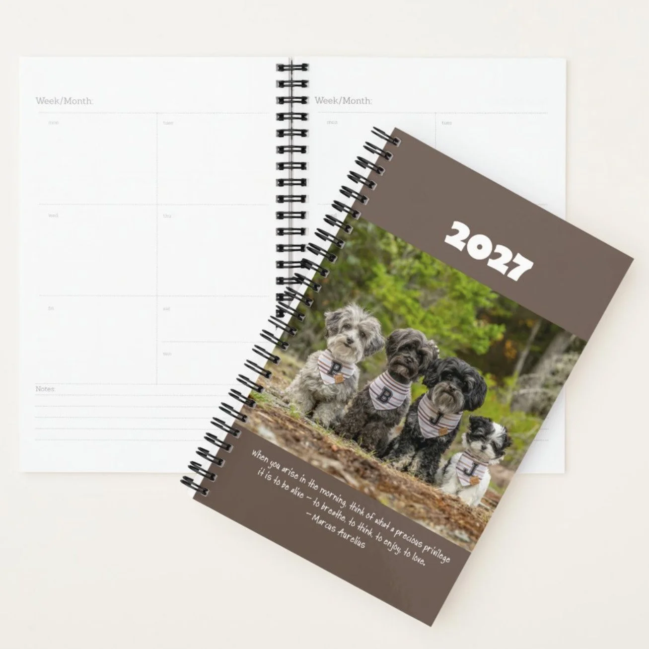 DailyPlanner03.jpeg