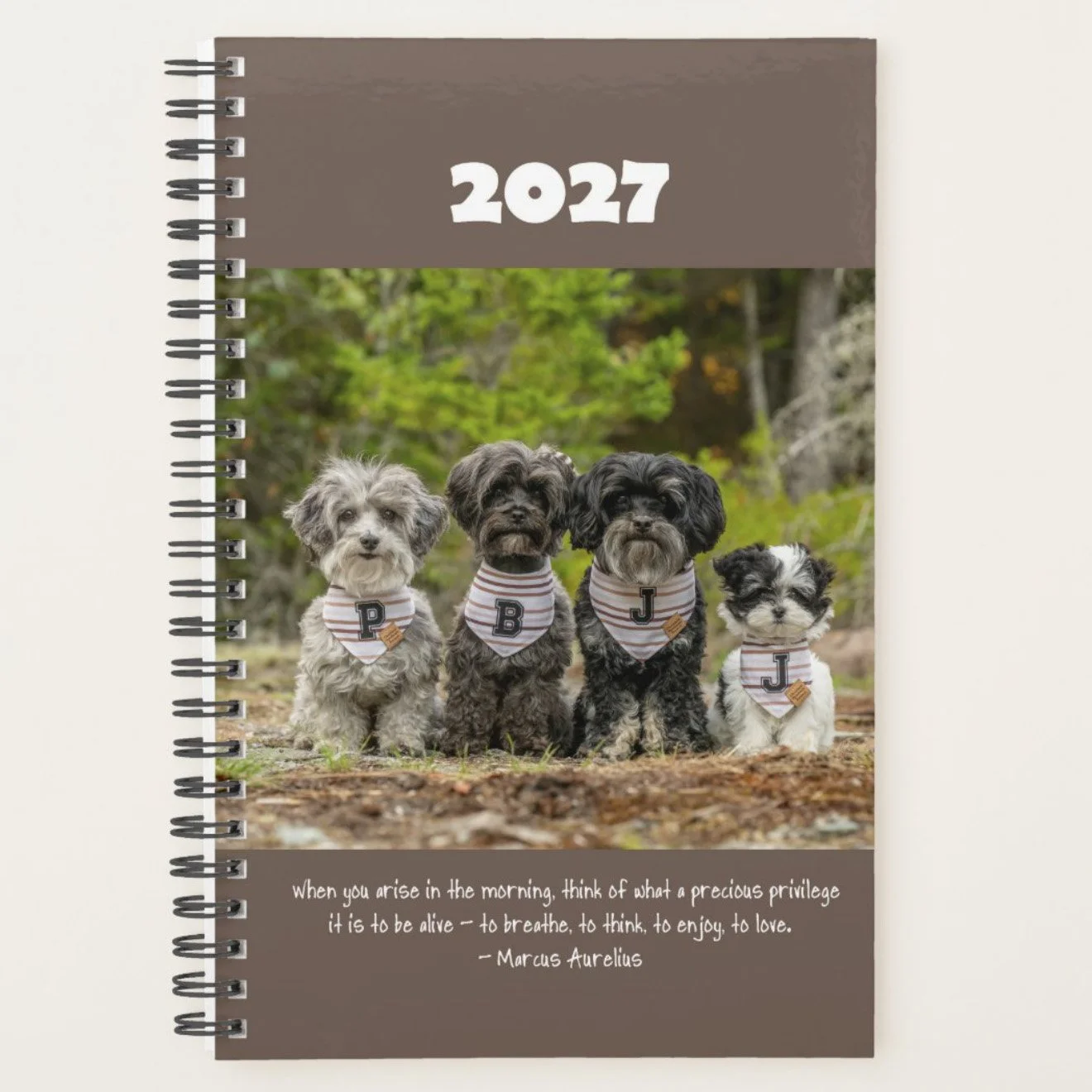 DailyPlanner01.jpeg