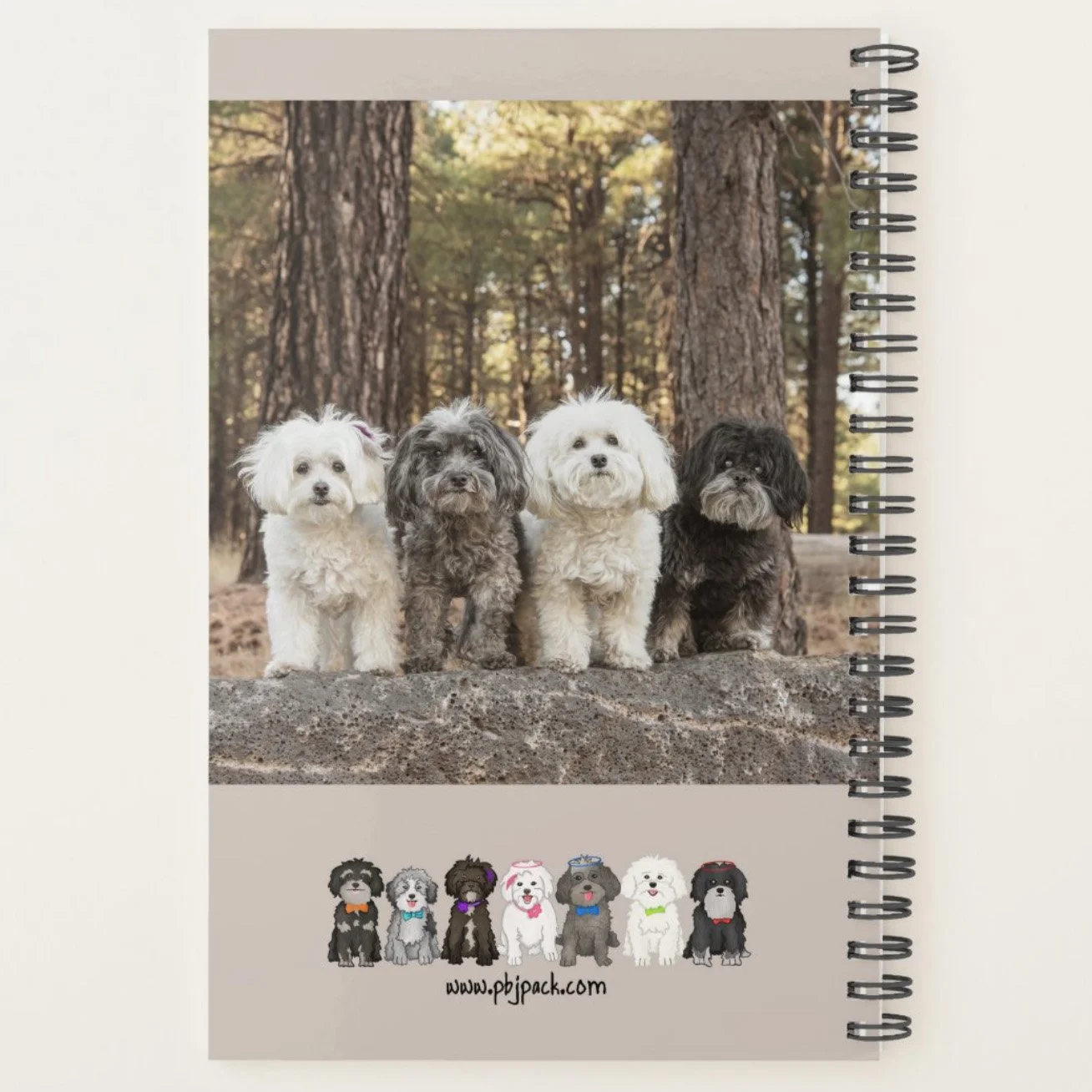 DailyPlanner02.jpeg