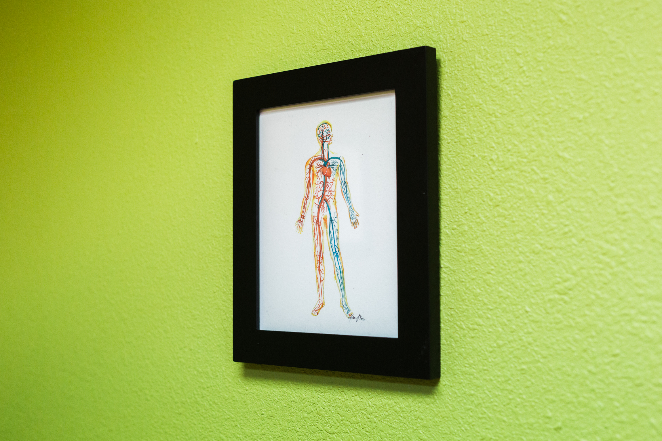  Image features an anatomy illustration which serves as a visual guide to understanding the body's structure and function, from muscle groups to pressure points.  At Mantis Massage in Austin, Texas, we prioritize a comprehensive approach to wellness,