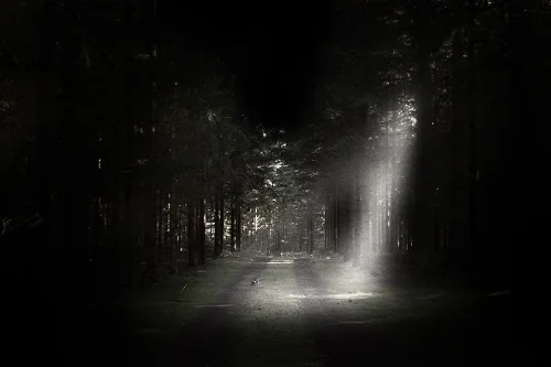 StillRoad.jpeg
