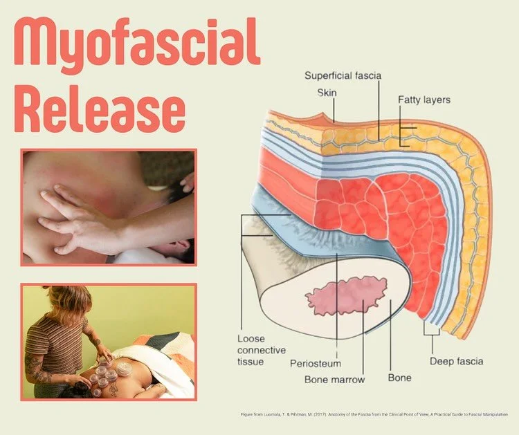 Keep your fascia happy with plenty of hydration, stretching, and massage!