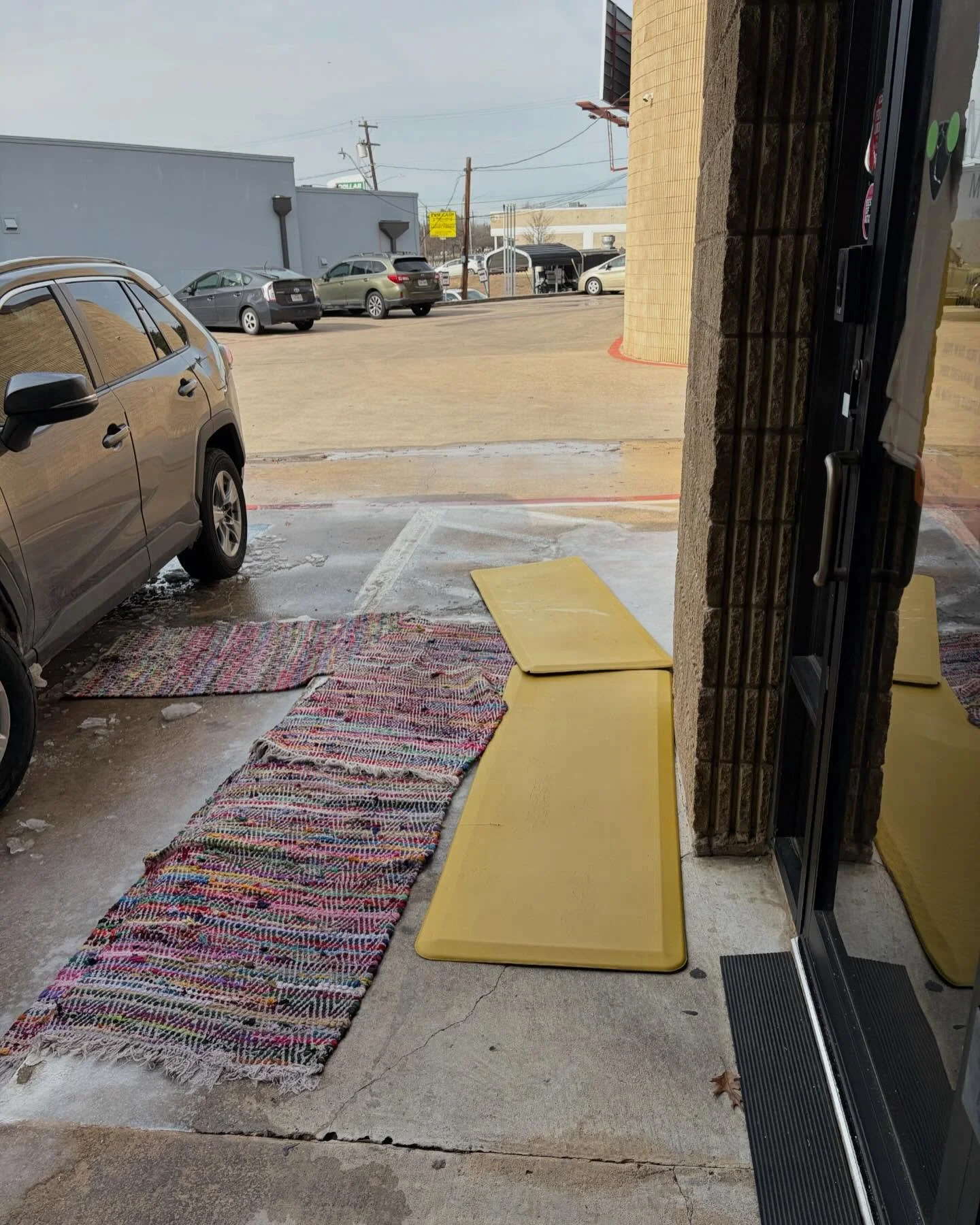 Mantis vs. the weather ❄️