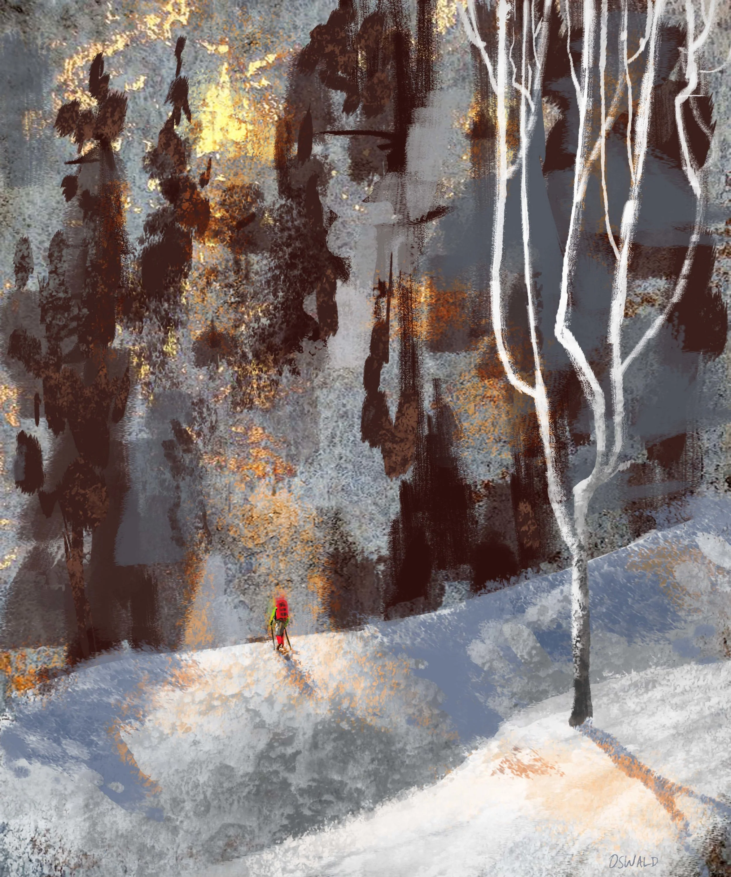 Snow Hike- Framed Print