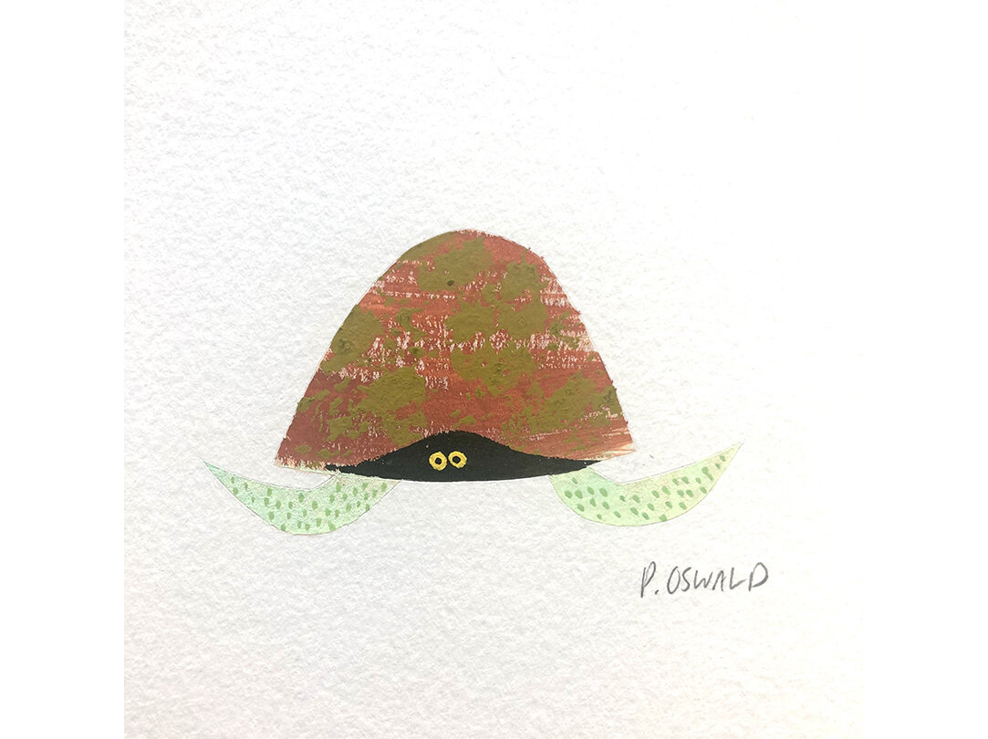 scared turtle.jpg