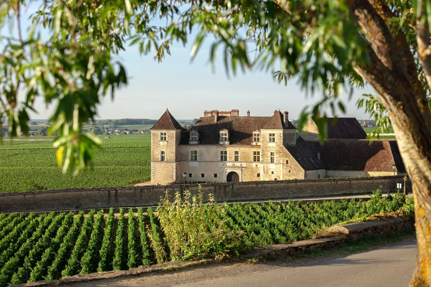 Musique & Vin au Clos Vougeot Festival