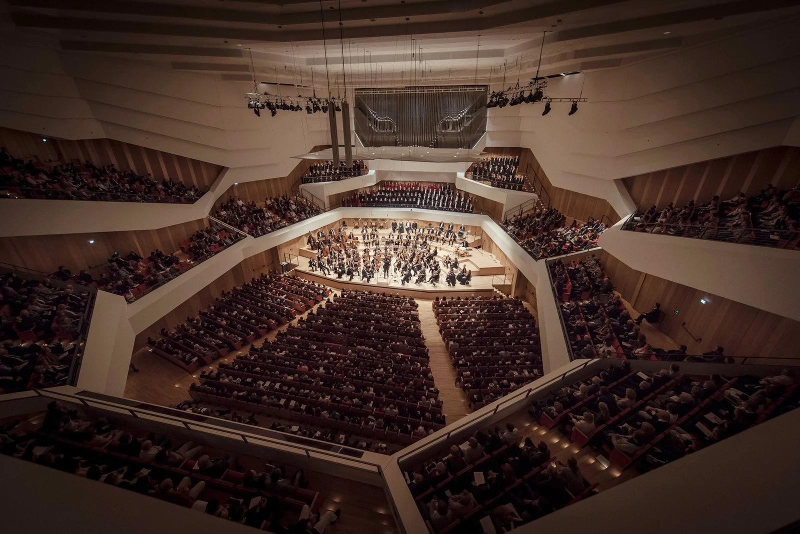 Dresden Philharmonic Orchestra