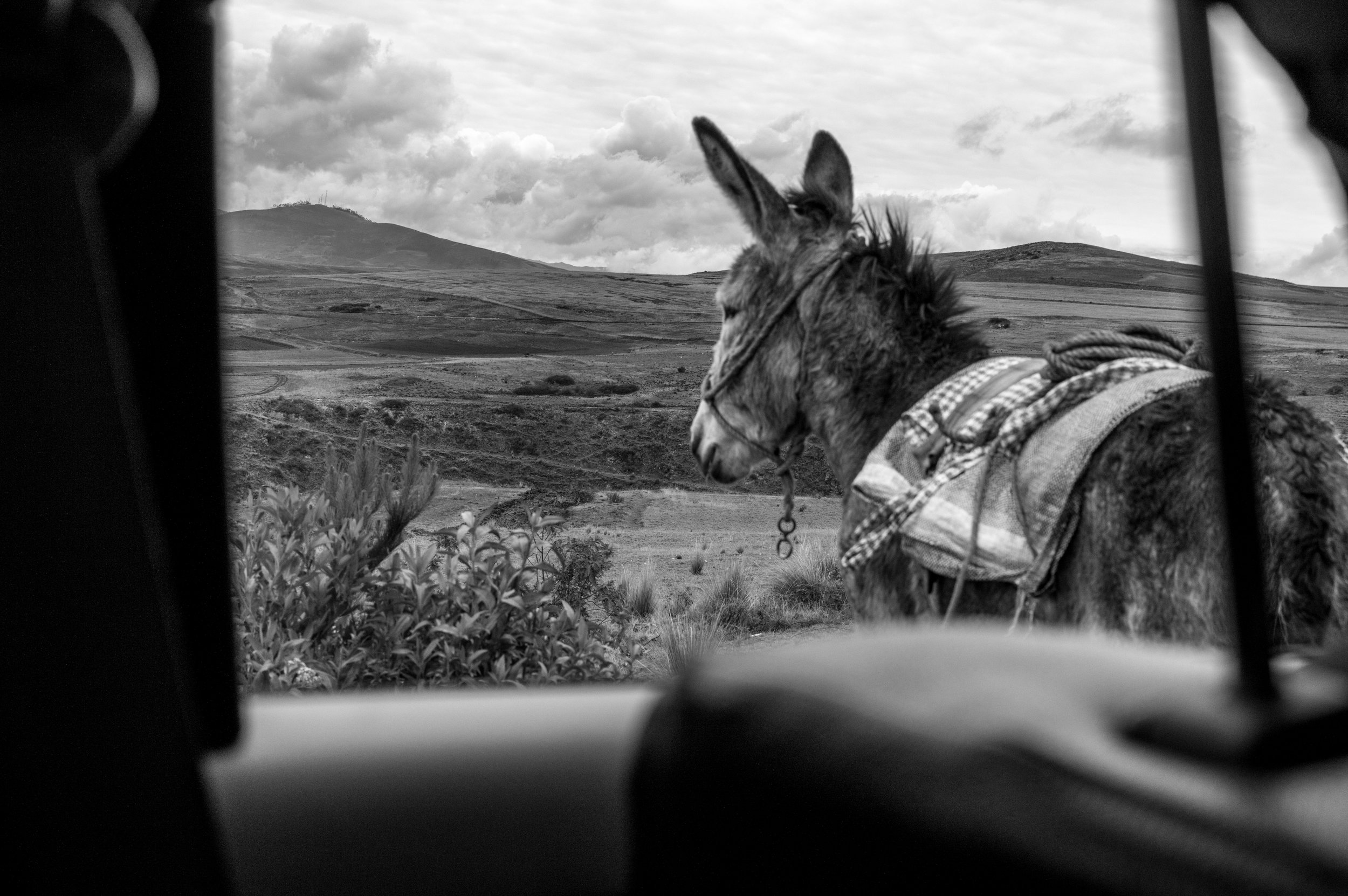 ollantaytambo_2018-0288.jpg