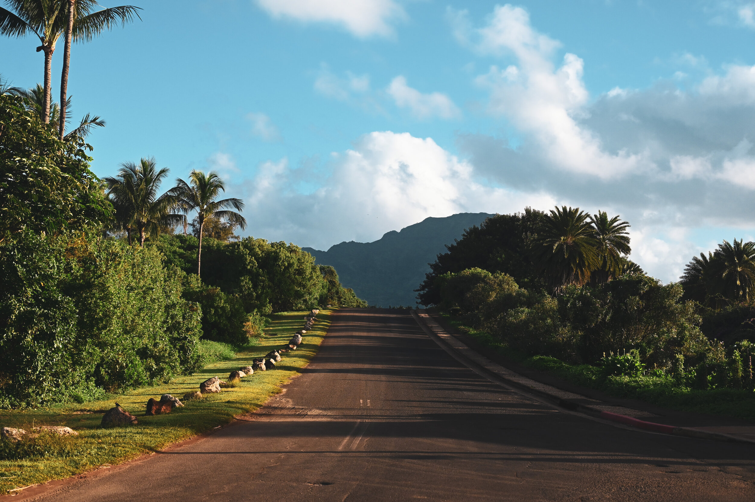 Kauai 2019-0079.jpg