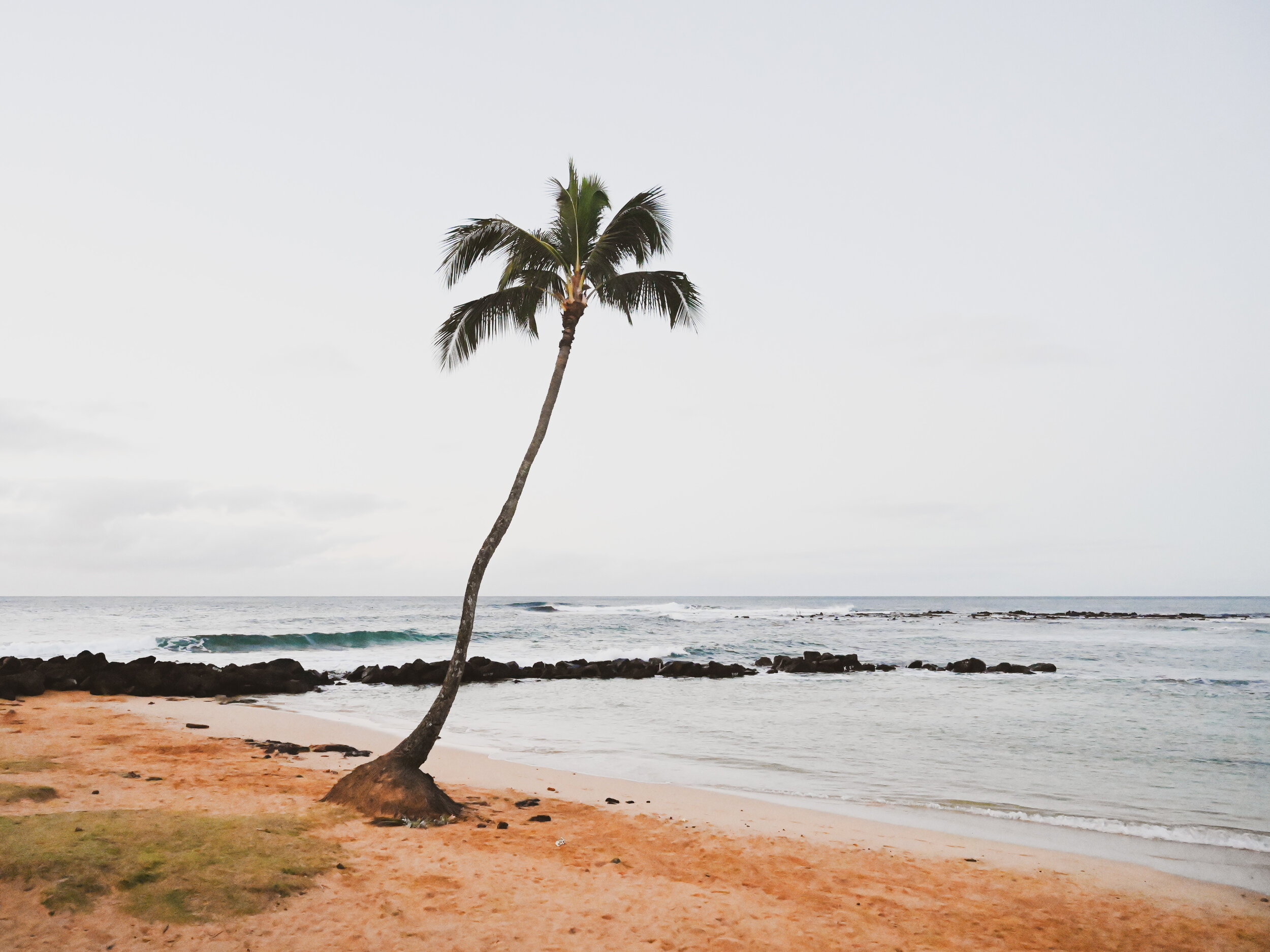 Kauai 2019-9524.jpg