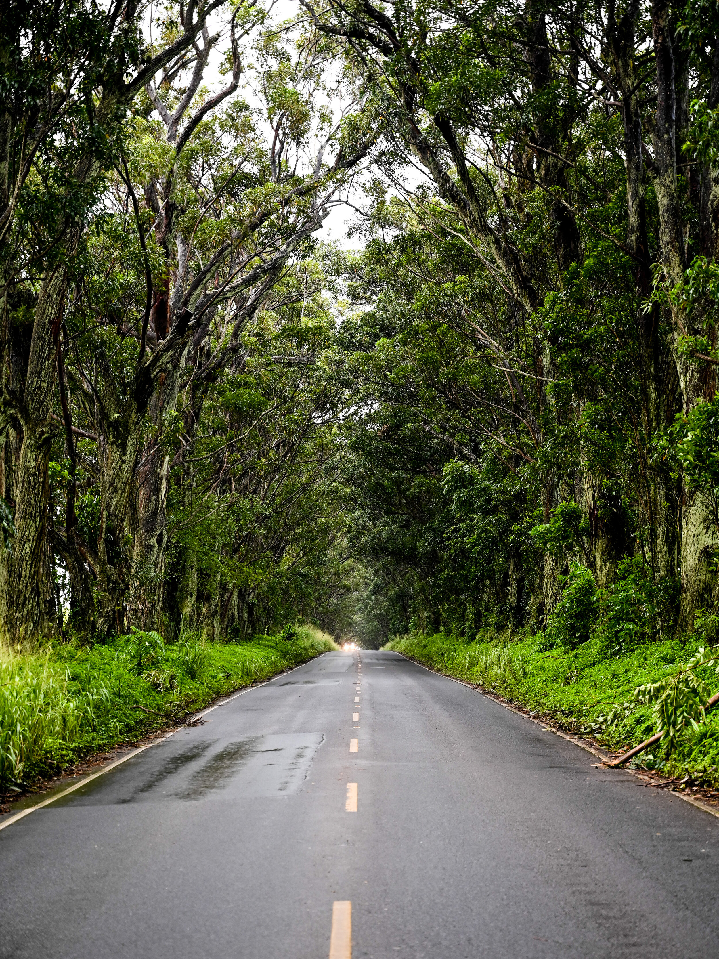 Kauai 2019-9706.jpg