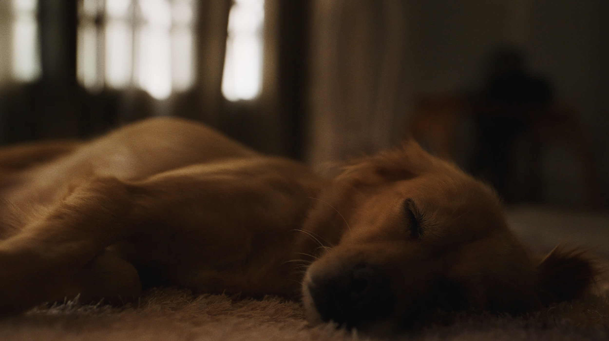 Screenshot 2024-07-21 at 11.49.46 p.m..png