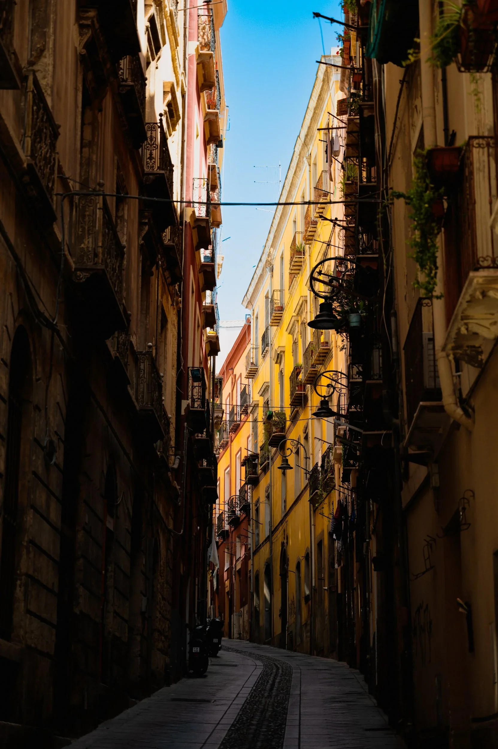 processed_1000003855.webp