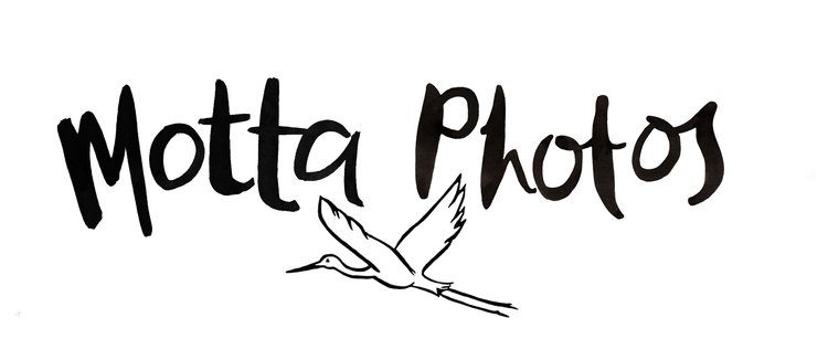 Motta Photos