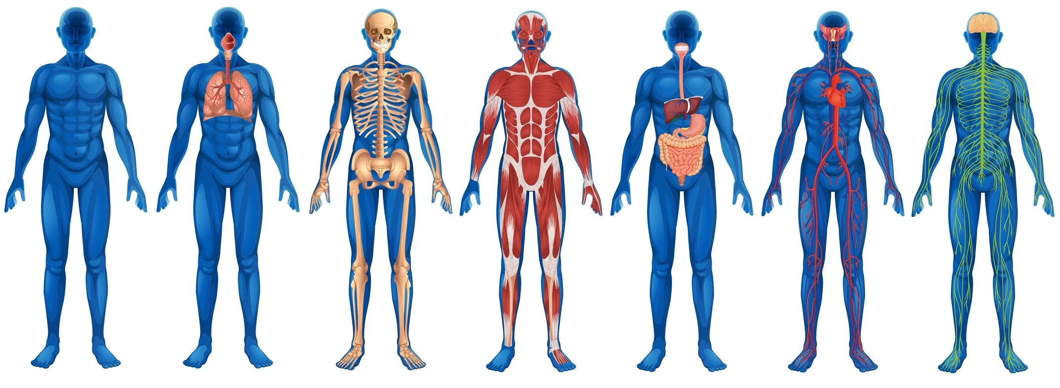 Bodies.jpg