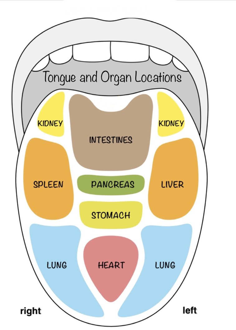 The Tongue Jihva Parīkshā — Vibrational Ayurveda