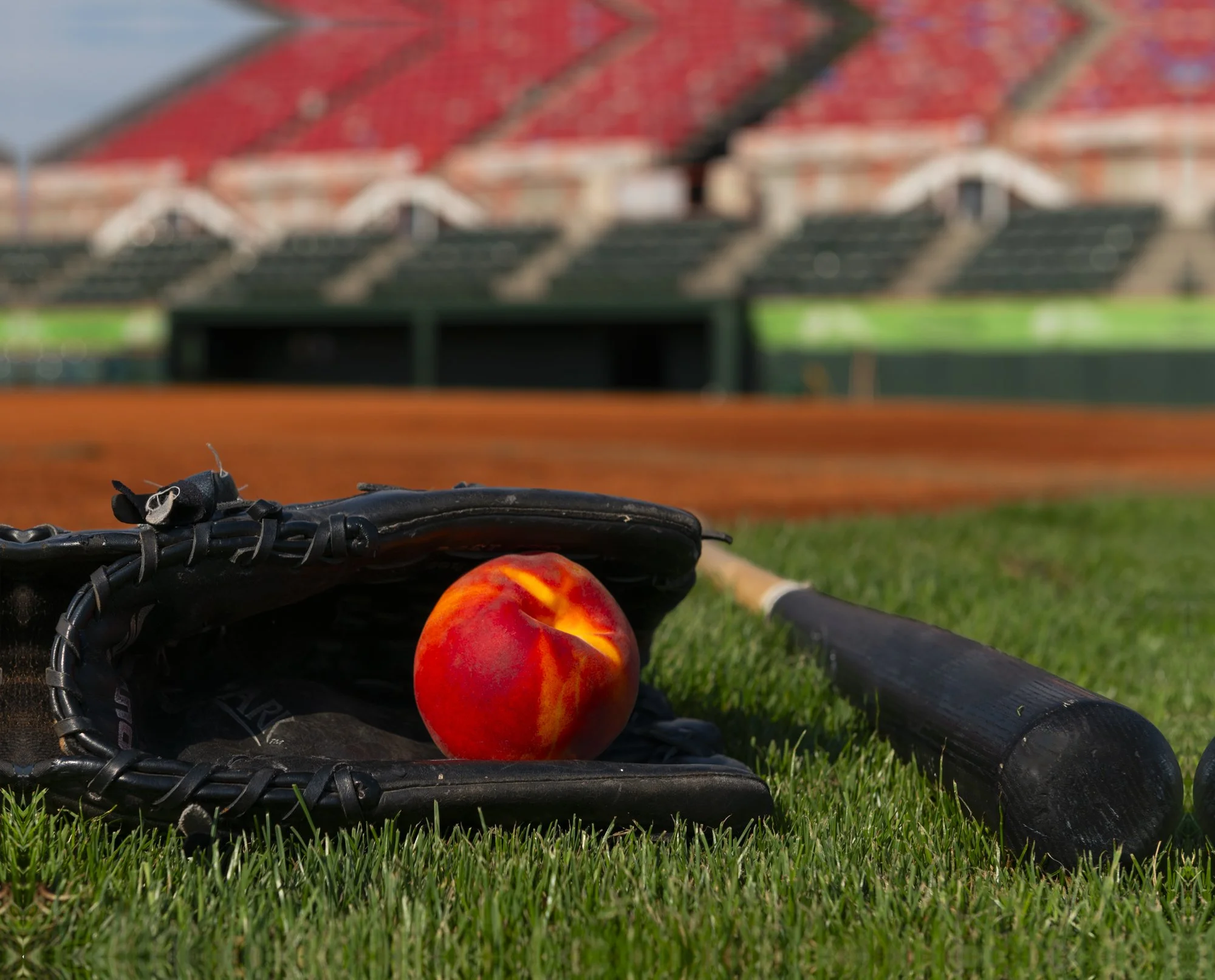 America's Pastime -3.jpg