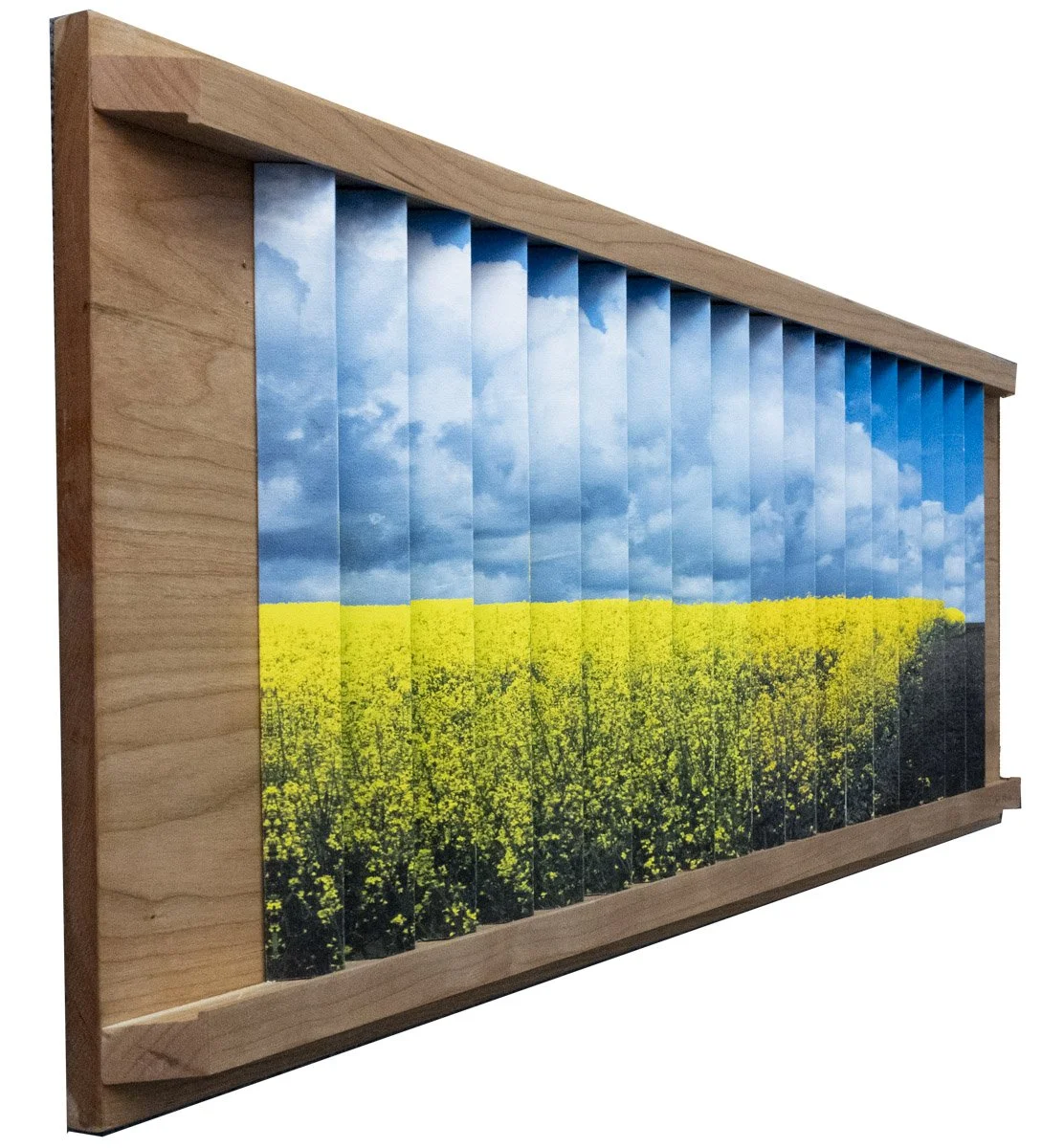 Idaho Goldenscape-1.jpg