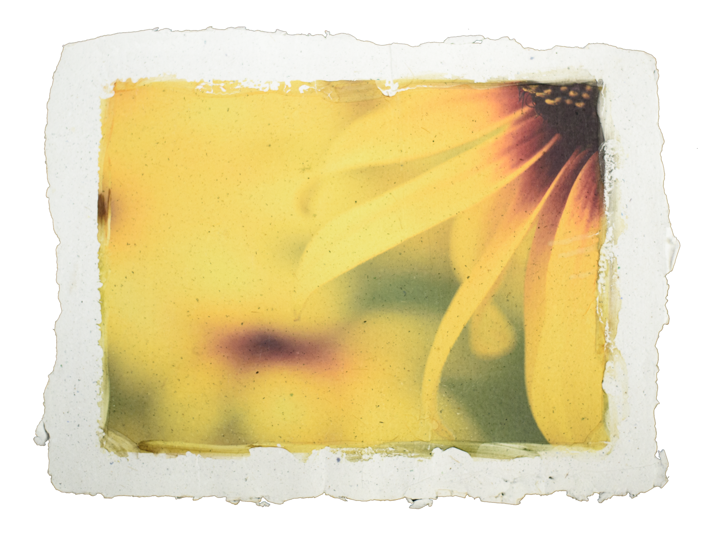 RePapel_IDDI_Fathom-1.png