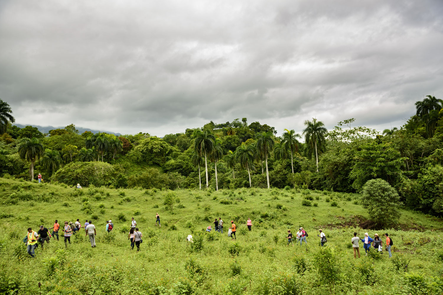 Volunteer_Reforestation_Boise Photographer-1.jpg