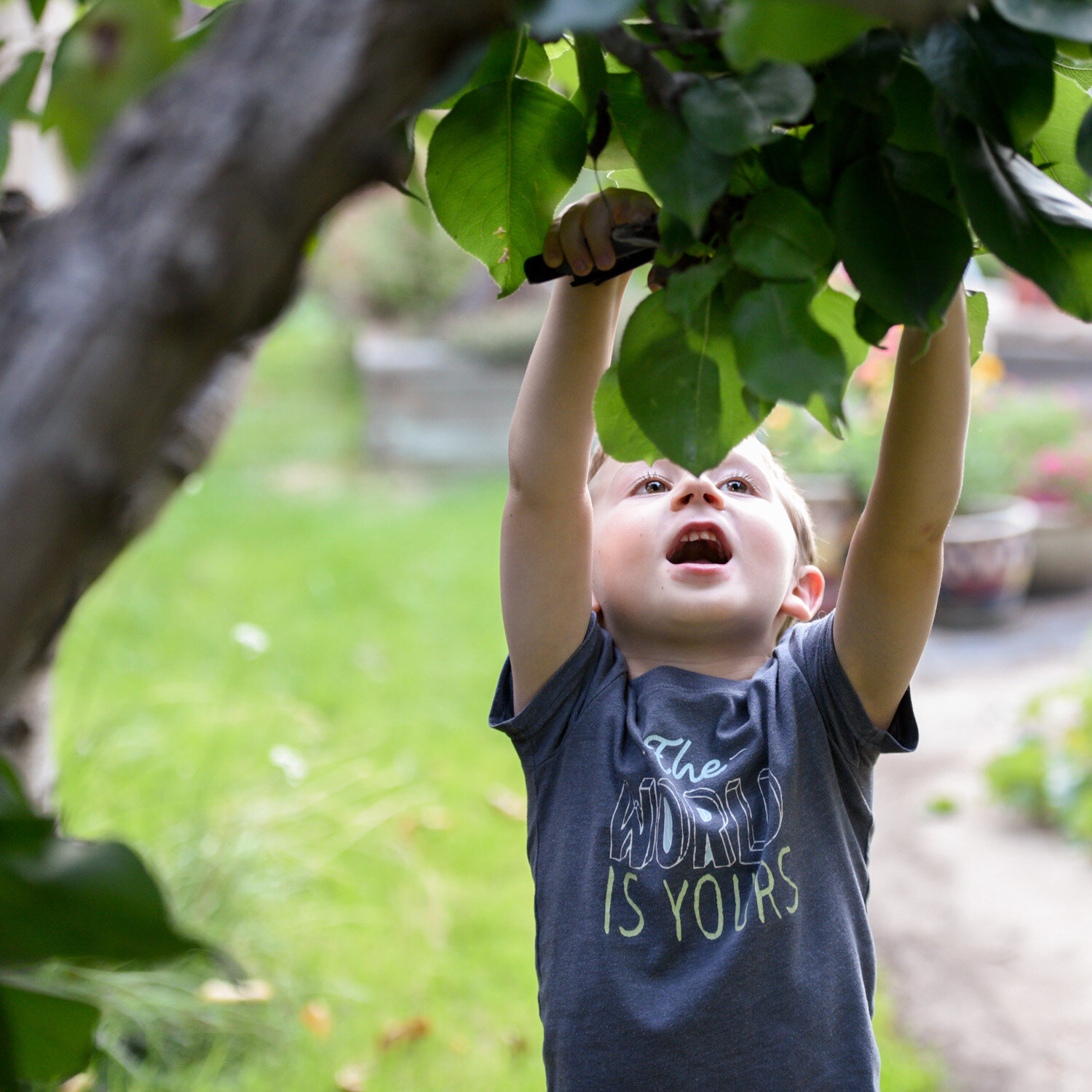 Family Photography_Boise_DITL-31.jpg