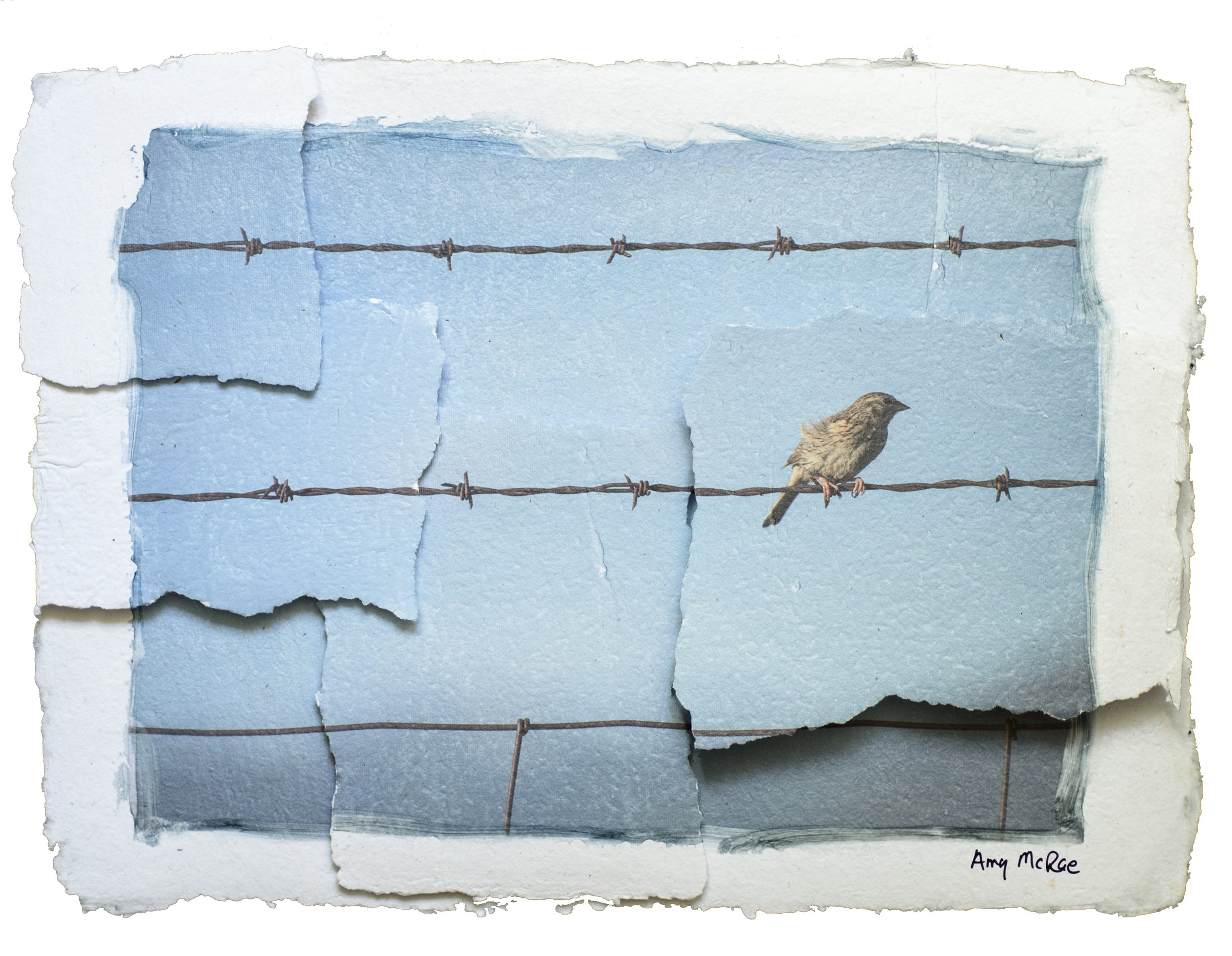 Bird On A Wire.jpg