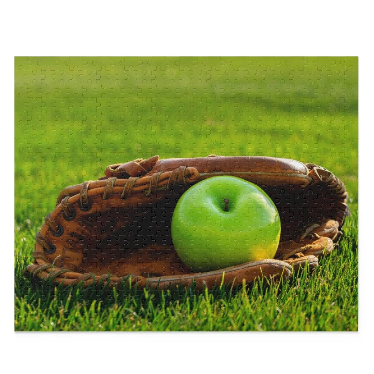 3d80174a4f733d292fd7ae7bf8c0403b