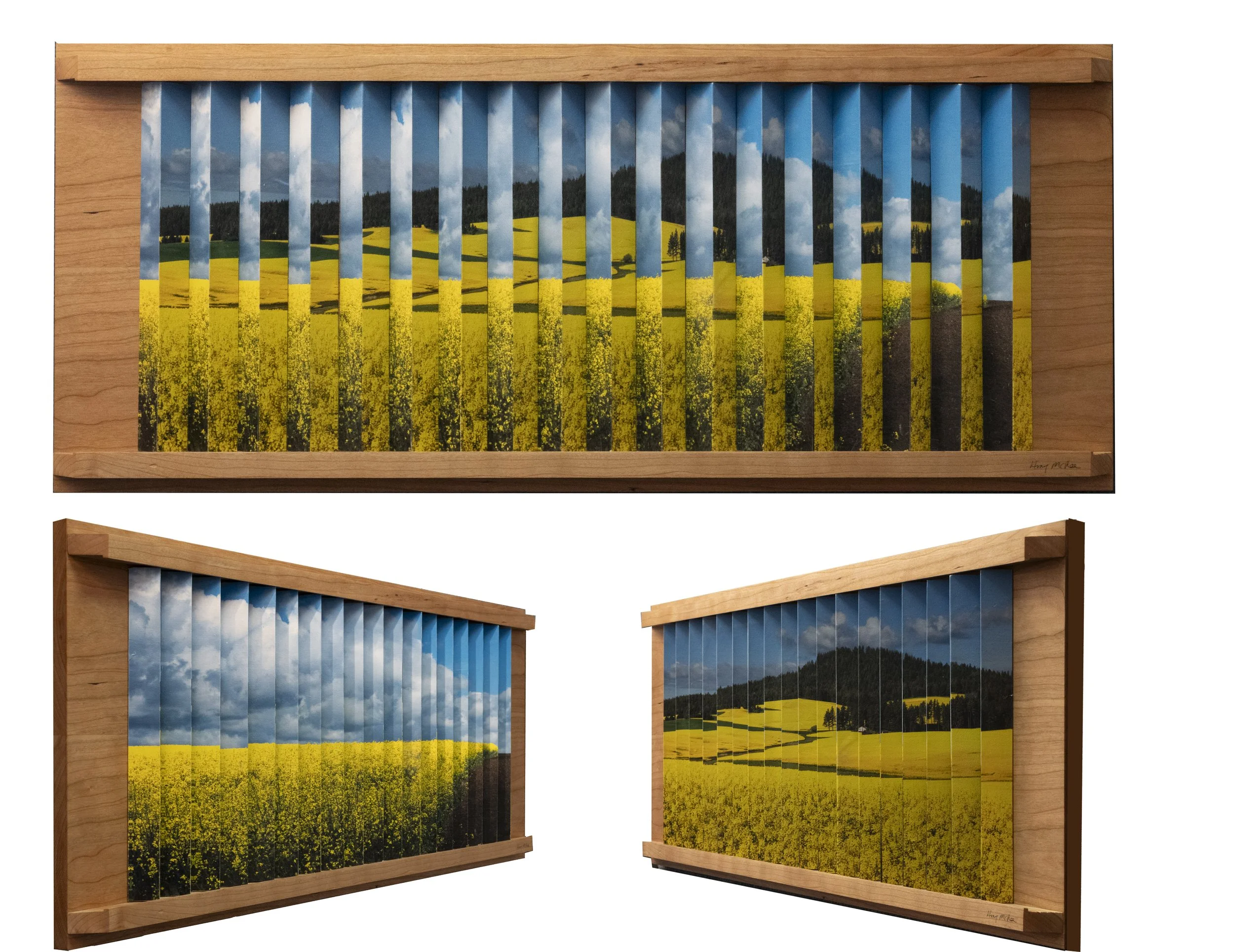 McRae_Idaho Gold_33x14_$525.jpg