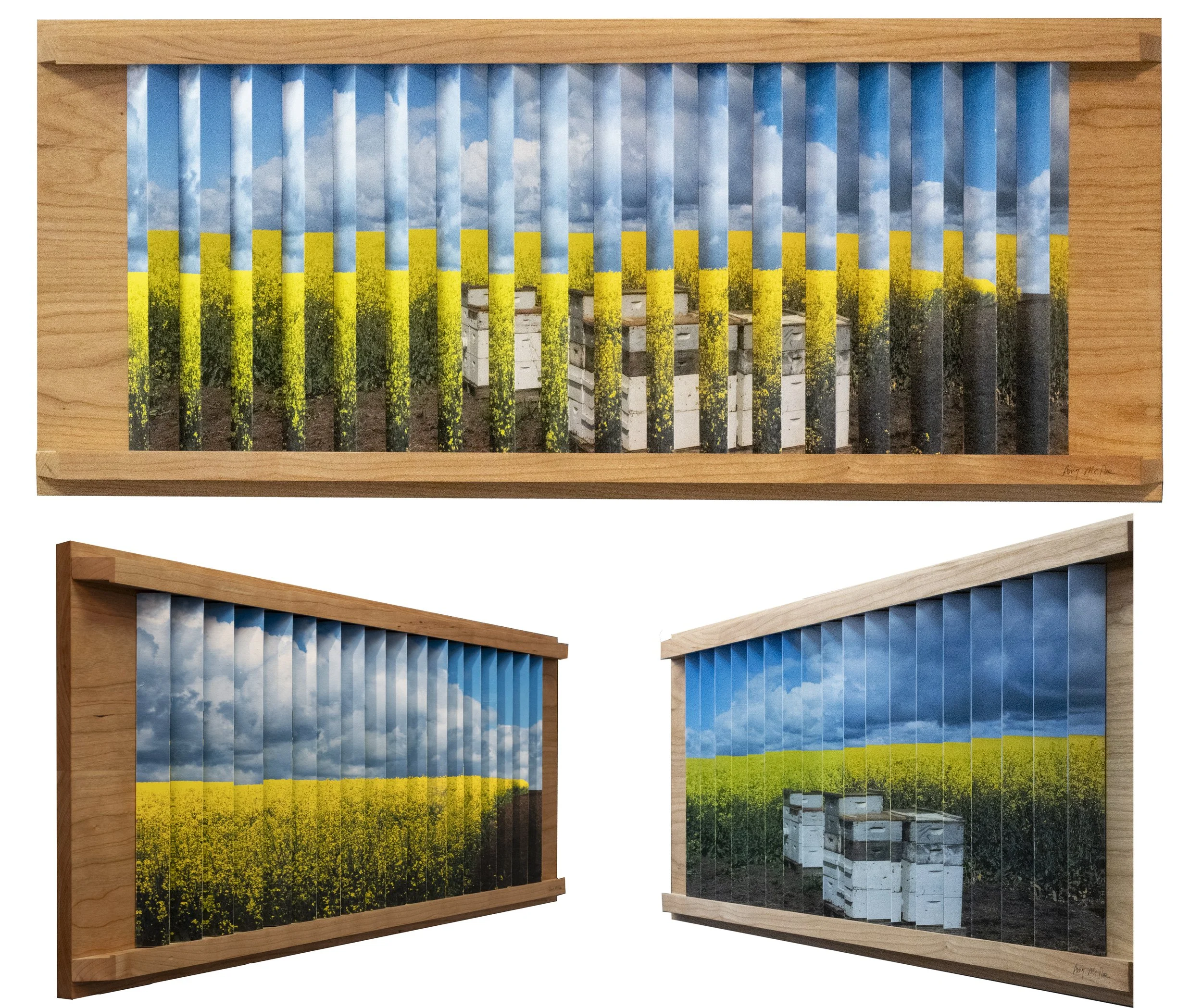 McRae_Idaho Goldenscape_33x14_$525.jpg