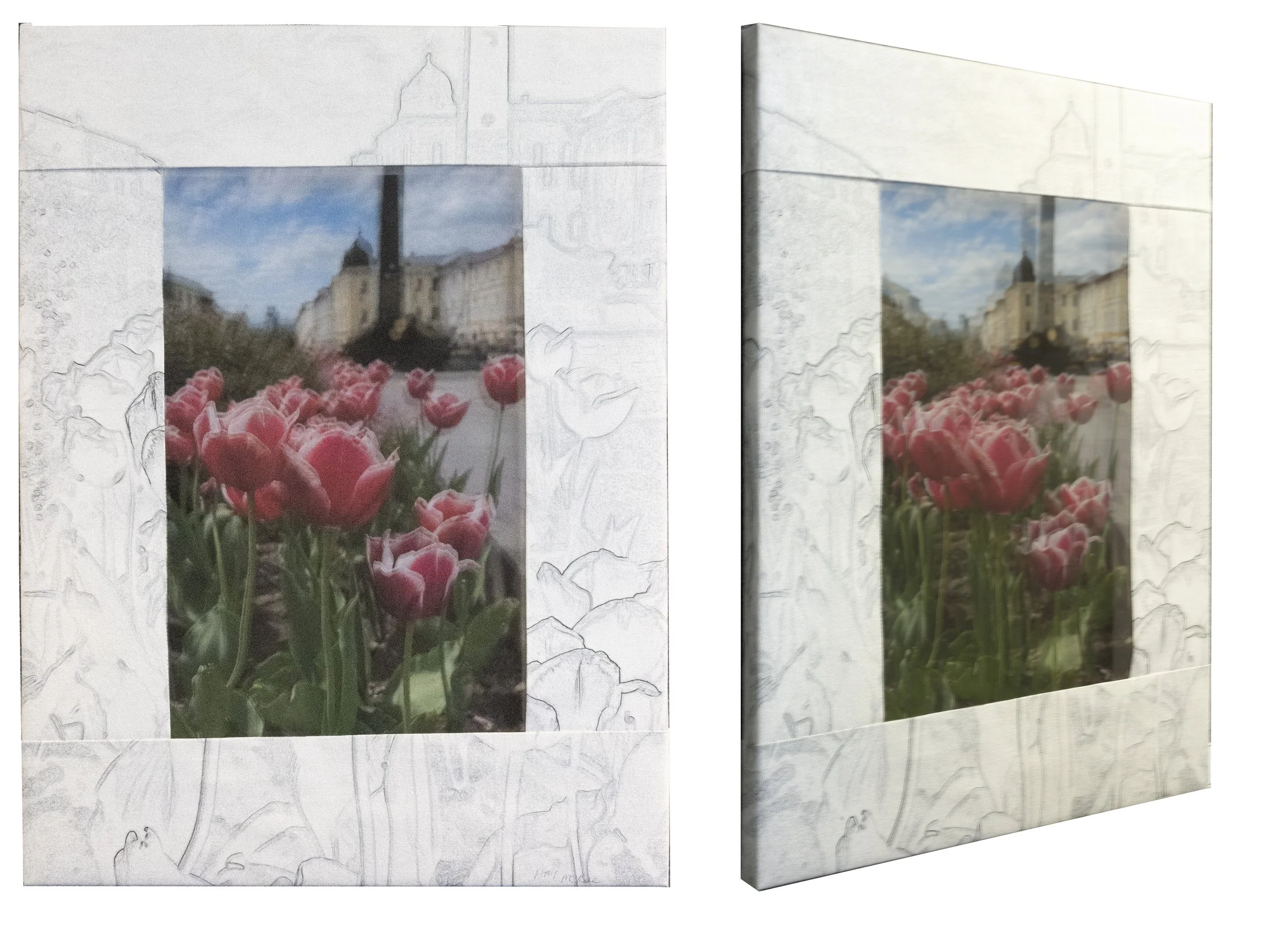 McRae_Symphony of Tulips_18x24_$275.jpg