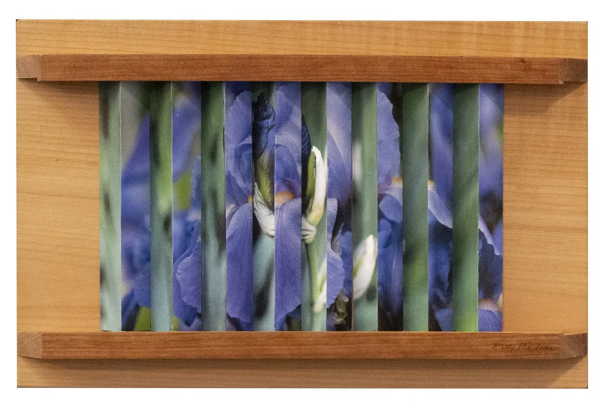 When It's Iris Time-2.jpg