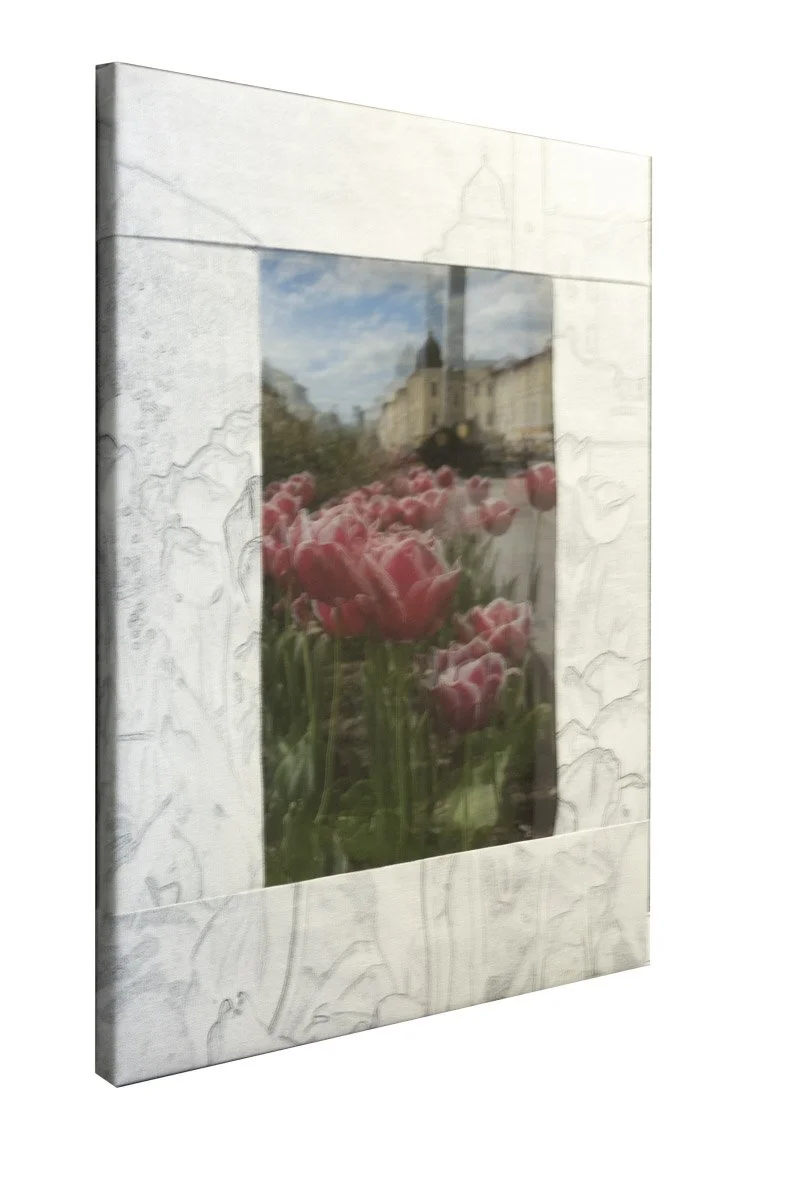 Symphony of Tulips-1.jpg