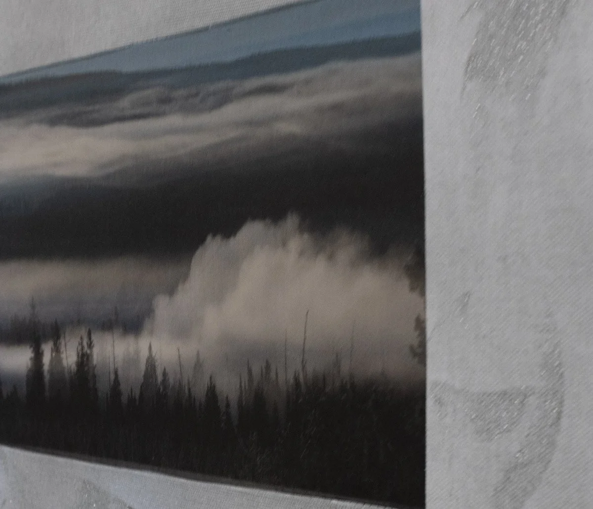 Standing Guard-2.jpg