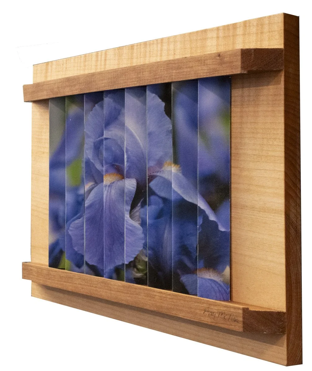 When It's Iris Time-3.jpg