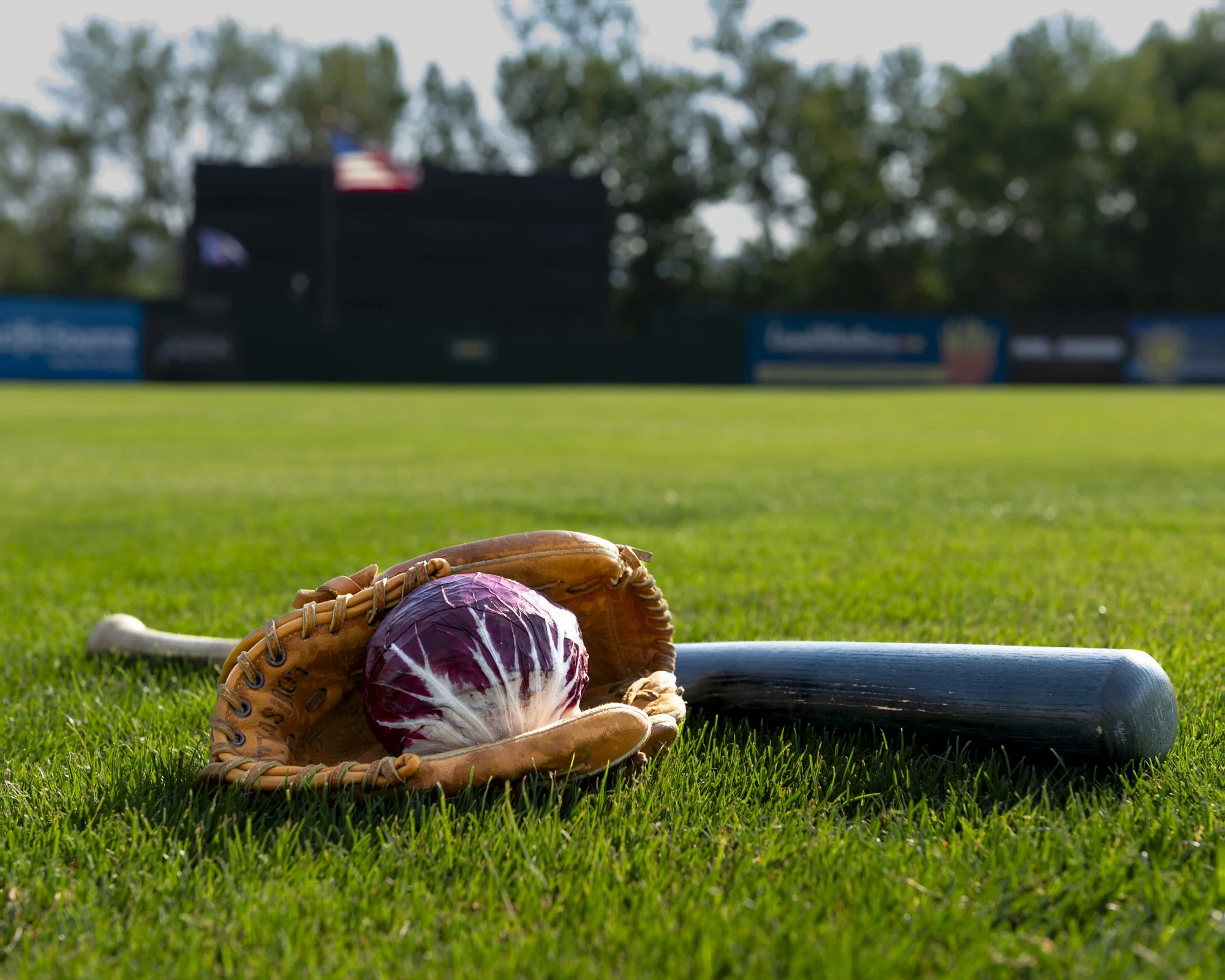 America's Pastime -4.jpg