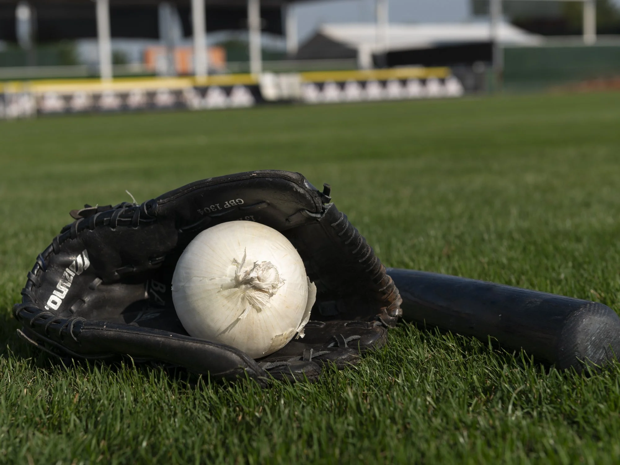 America's Pastime -8.jpg
