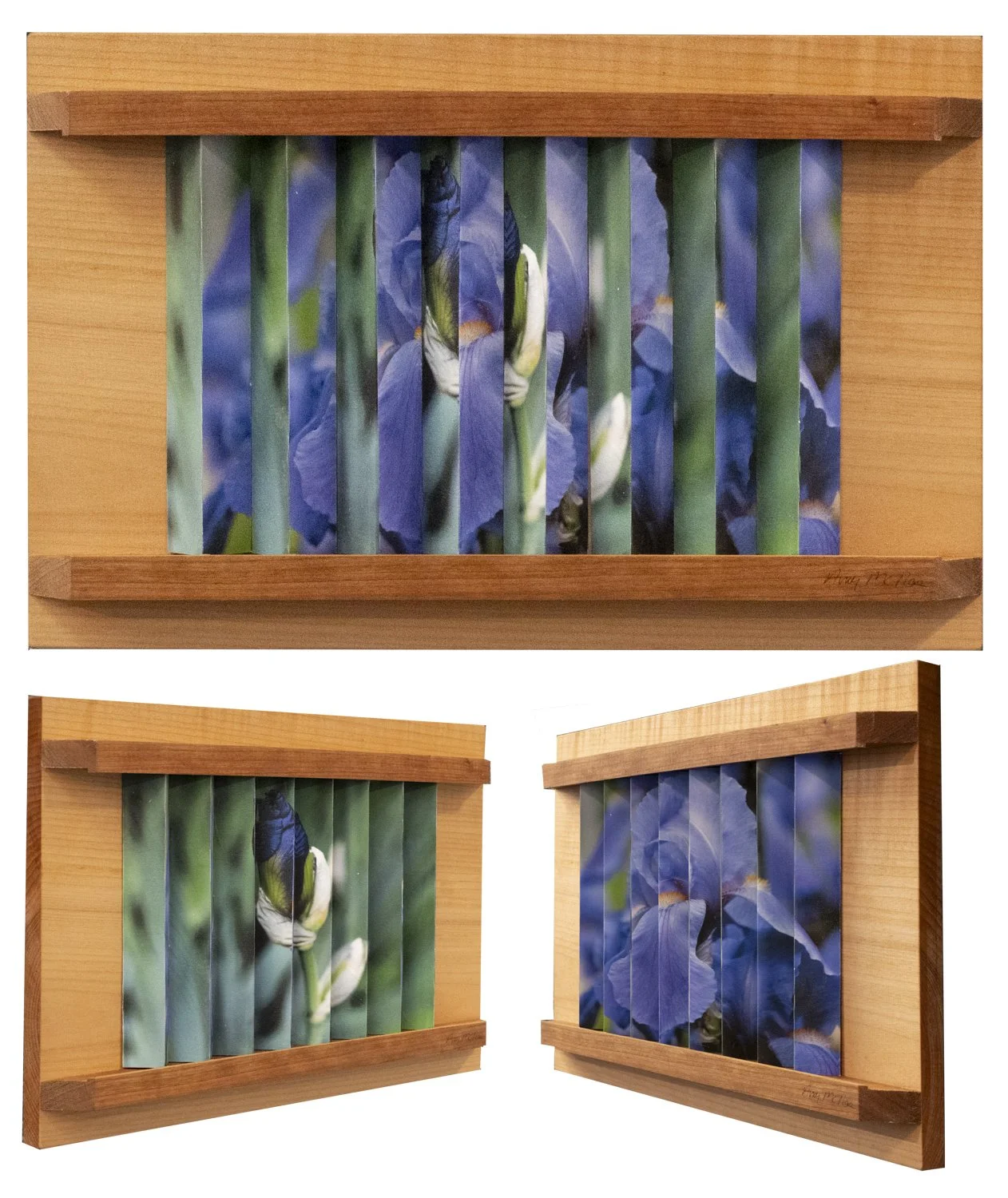 When It's Iris Time
