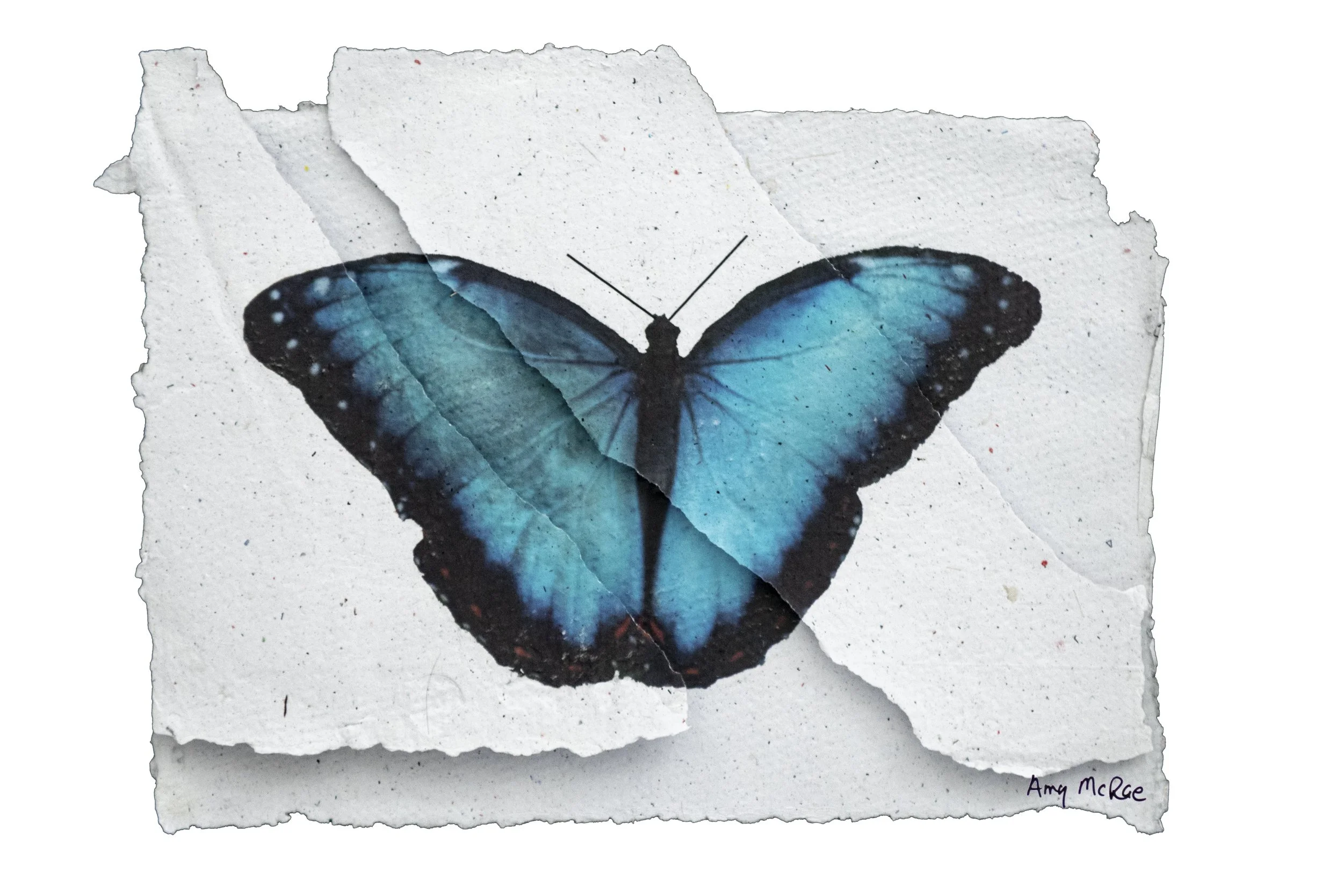 Handmade Photographs