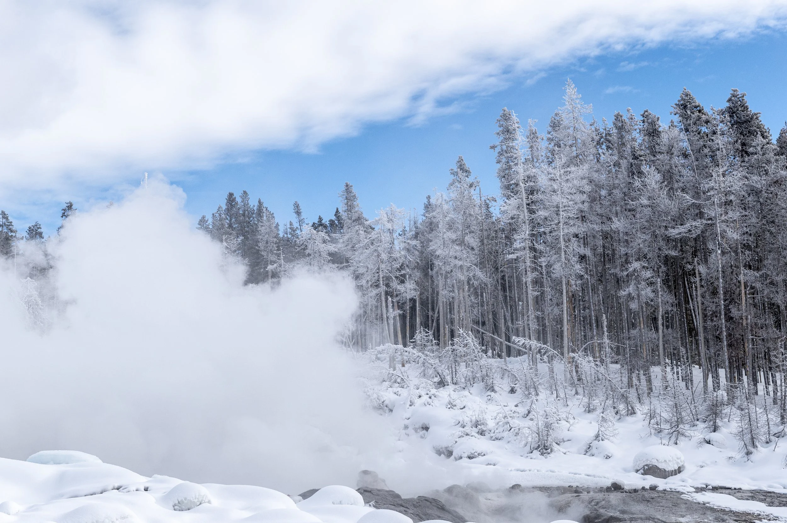 Yellowston Winter.jpg