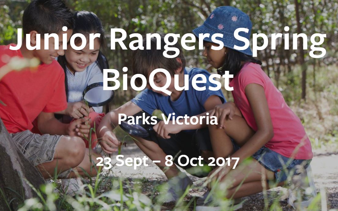 Young Adventurers on Massive BioQuest in Victoria’s Parks