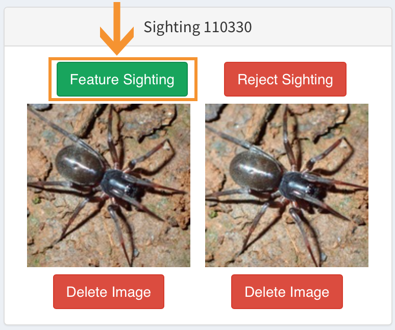  ' Feature Sighting '