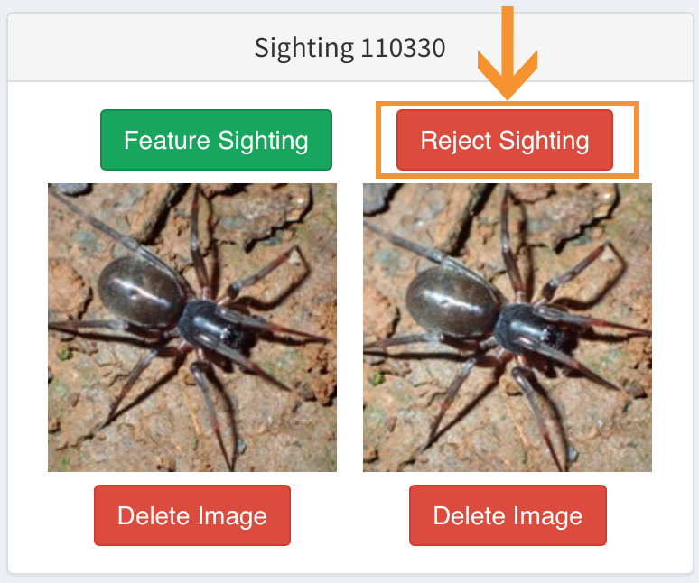  ' Reject Sighting '