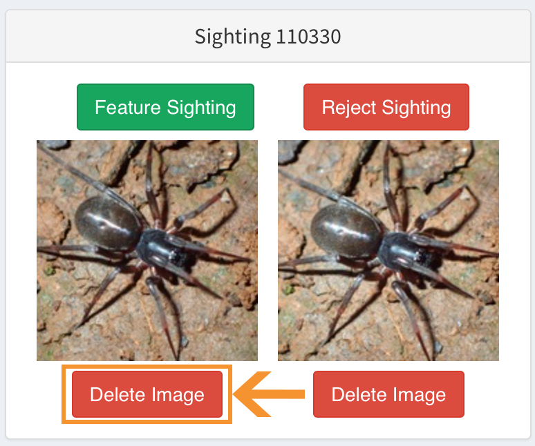  ' Delete Image '