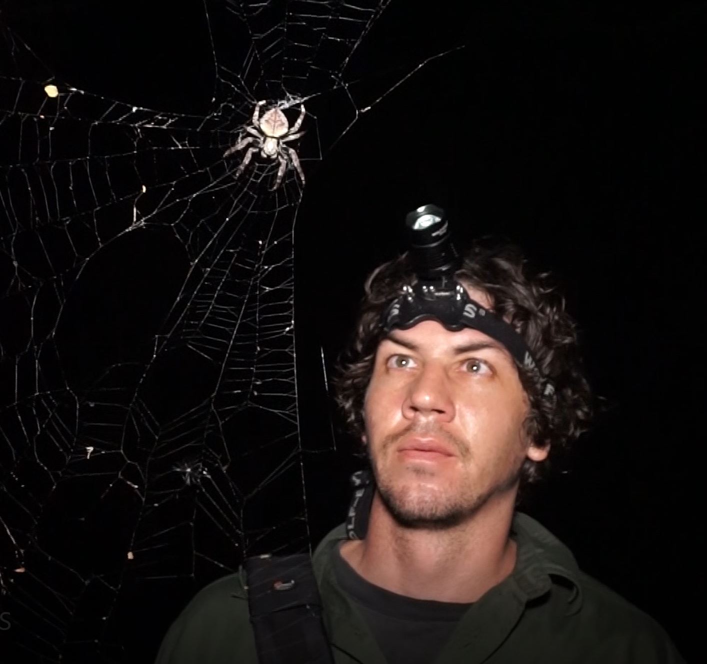 Arachnid Adventures: BioQuest Tips with Ben Revell