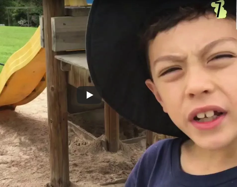 Things that Sting: A backyard adventure with Grisper 