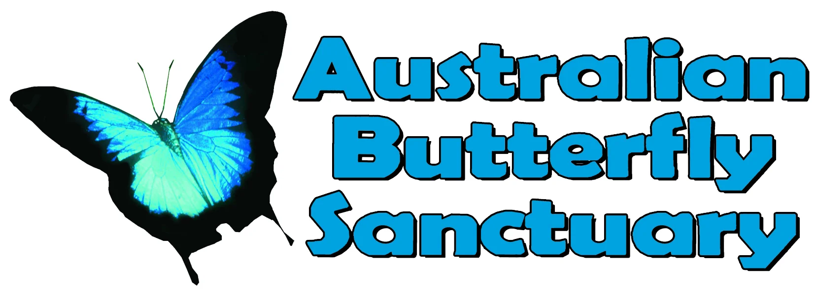 The Australian Butterfly Sanctuary