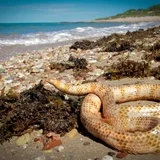 thumb_Exmouth_17May_Ru__1_.jpg
