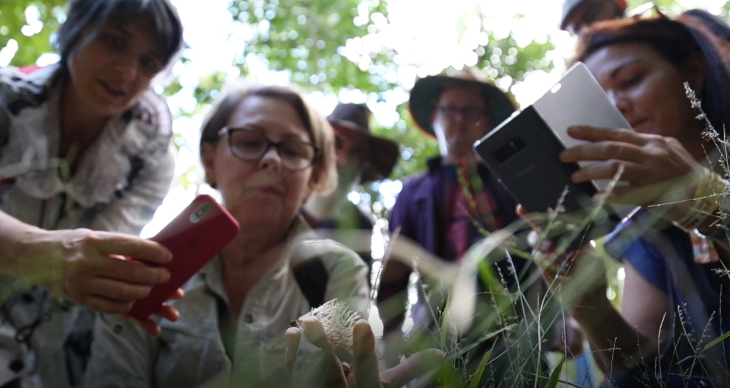 Mobile Game Selected as Finalist for Top Australian Science Prize