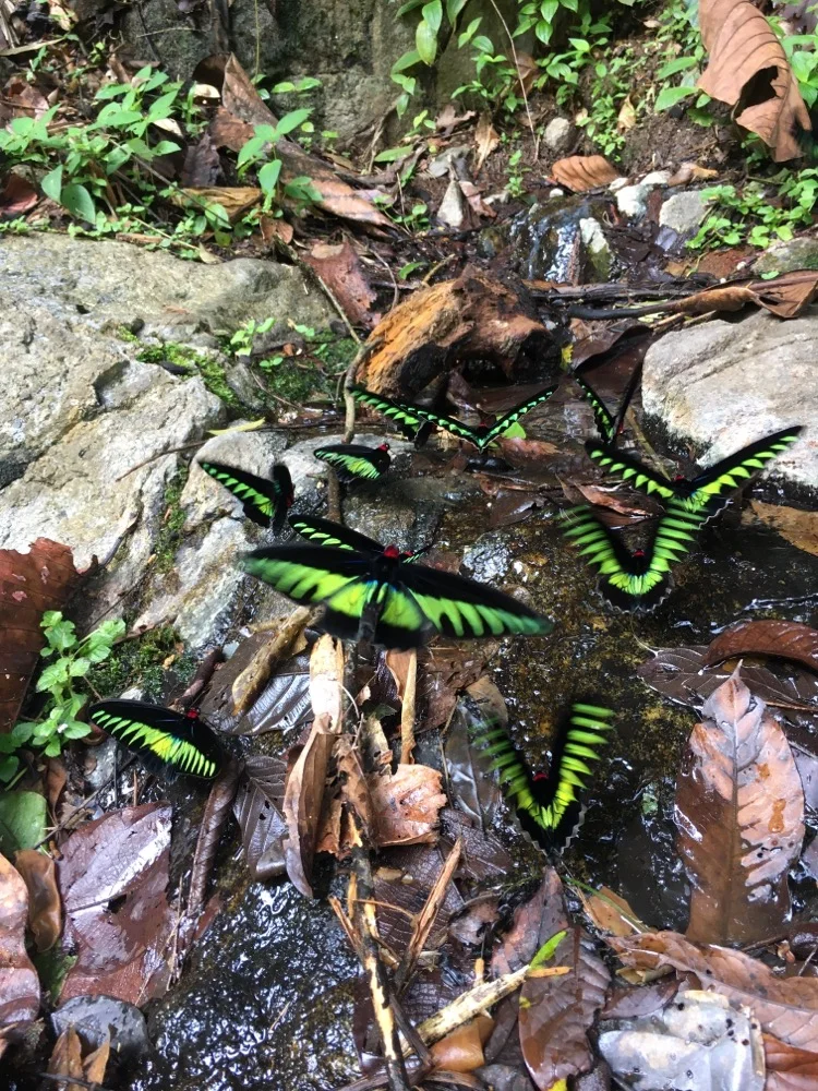 Image: Sighting by Jessa