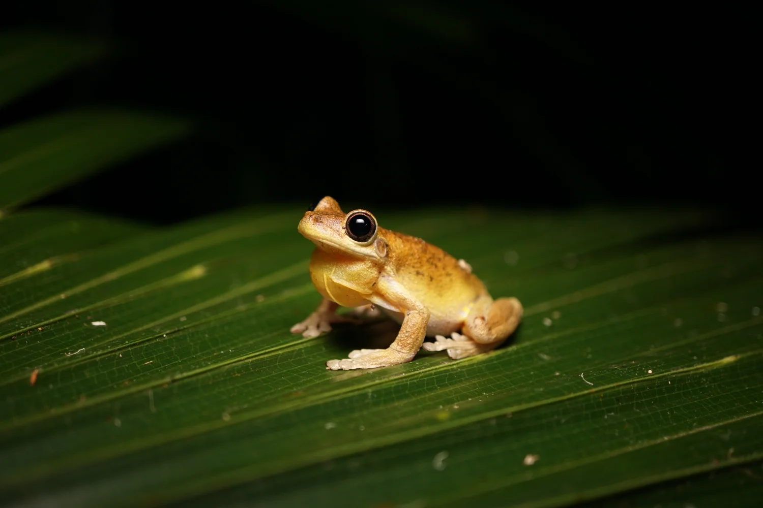 Image: Sighting by Robbi and Elisa
